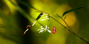 适合立秋节气的30个高级文案
