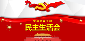 2024年度民主生活会班子对照检查情况汇报