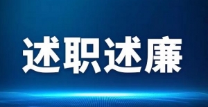 2024年度村文书述责述廉报告