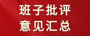 民主生活会对班子成员批评意见