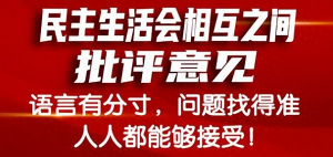 民主生活会、组织生活会相互批评意见