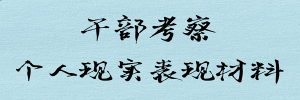 关于XX同志现实表现的考察材料