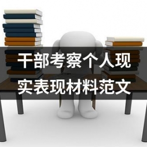 干部个人现实表现材料