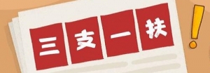 三支一扶工作总结