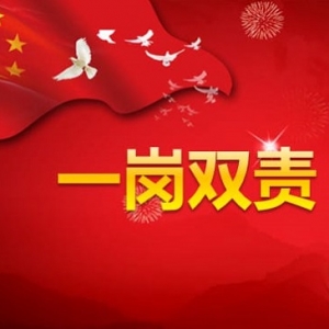 2024年分管领导落实一岗双责和党风廉政责任制建设情况报告
